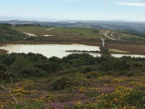 20160822_123237506_iOS