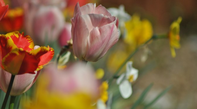 As a new day dawns…