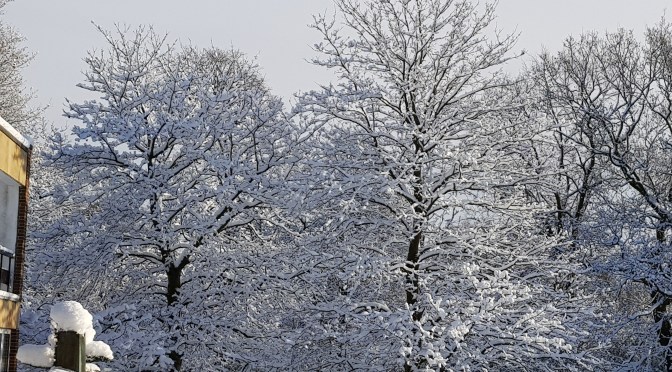 The unexpectedness of God