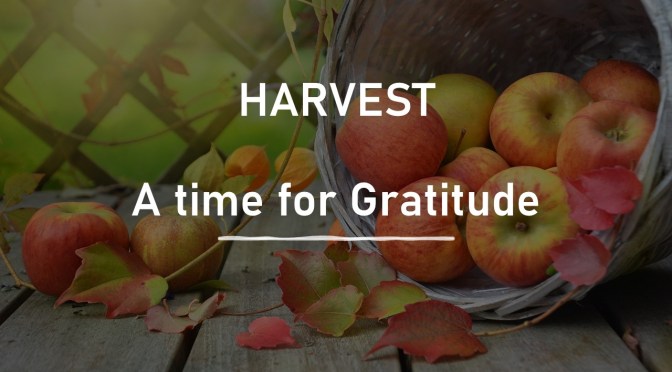 Harvest – a Time of Gratitude